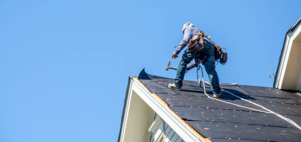 Best Storm Damage Roof Repair  in San Luis, AZ